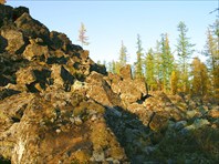 41 курумы